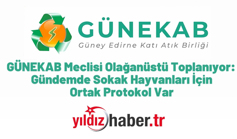 GÜNEKAB Meclisi Olağanüstü Toplanıyor: Gündemde Sokak Hayvanları İçin Ortak Protokol Var