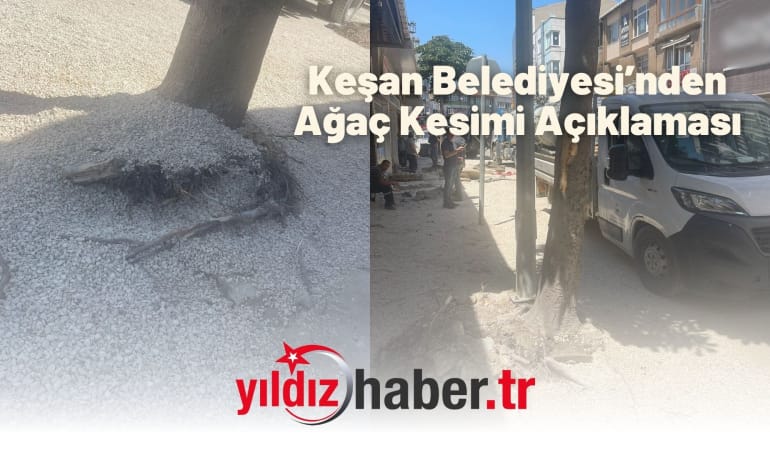 Keşan Belediyesi’nden Ağaç Kesimi Açıklaması: “Güvenlik Gerekçesiyle Müdahale Ettik, Yerine Estetik Türler Dikilecek”