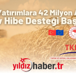 Kırsal Yatırımlara 42 Milyon Avroluk Dev Hibe Desteği Başladı