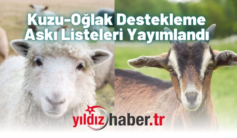 Kuzu-Oğlak Destekleme Askı Listeleri Yayımlandı