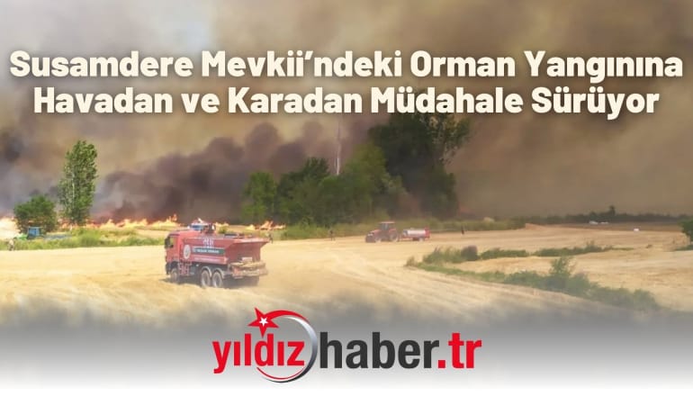 Susamdere Mevkii’ndeki Orman Yangınına Havadan ve Karadan Müdahale Sürüyor