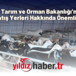 T.C. Tarım ve Orman Bakanlığı’ndan Hayvan Satış Yerleri Hakkında Önemli Açıklama