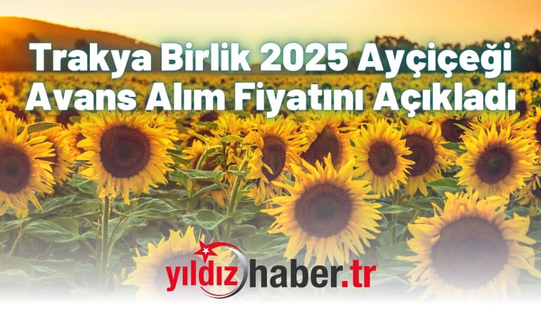 Trakya Birlik 2025 Ayçiçeği Avans Alım Fiyatını Açıkladı
