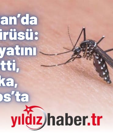 Yunanistan’da Batı Nil Virüsü 2 Kişi Hayatını Kaybetti, 47 Vaka, 3’ü Evros’ta