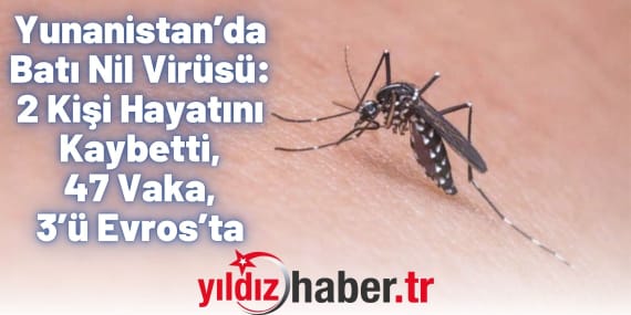 Yunanistan’da Batı Nil Virüsü: 2 Kişi Hayatını Kaybetti, 47 Vaka, 3’ü Evros’ta