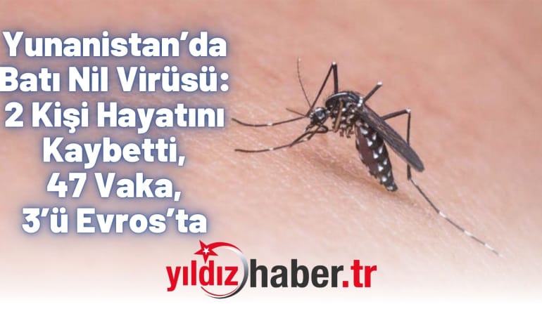 Yunanistan’da Batı Nil Virüsü: 2 Kişi Hayatını Kaybetti, 47 Vaka, 3’ü Evros’ta