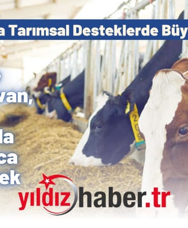Yunanistan'da Tarımsal Desteklerde Büyük Yolsuzluk