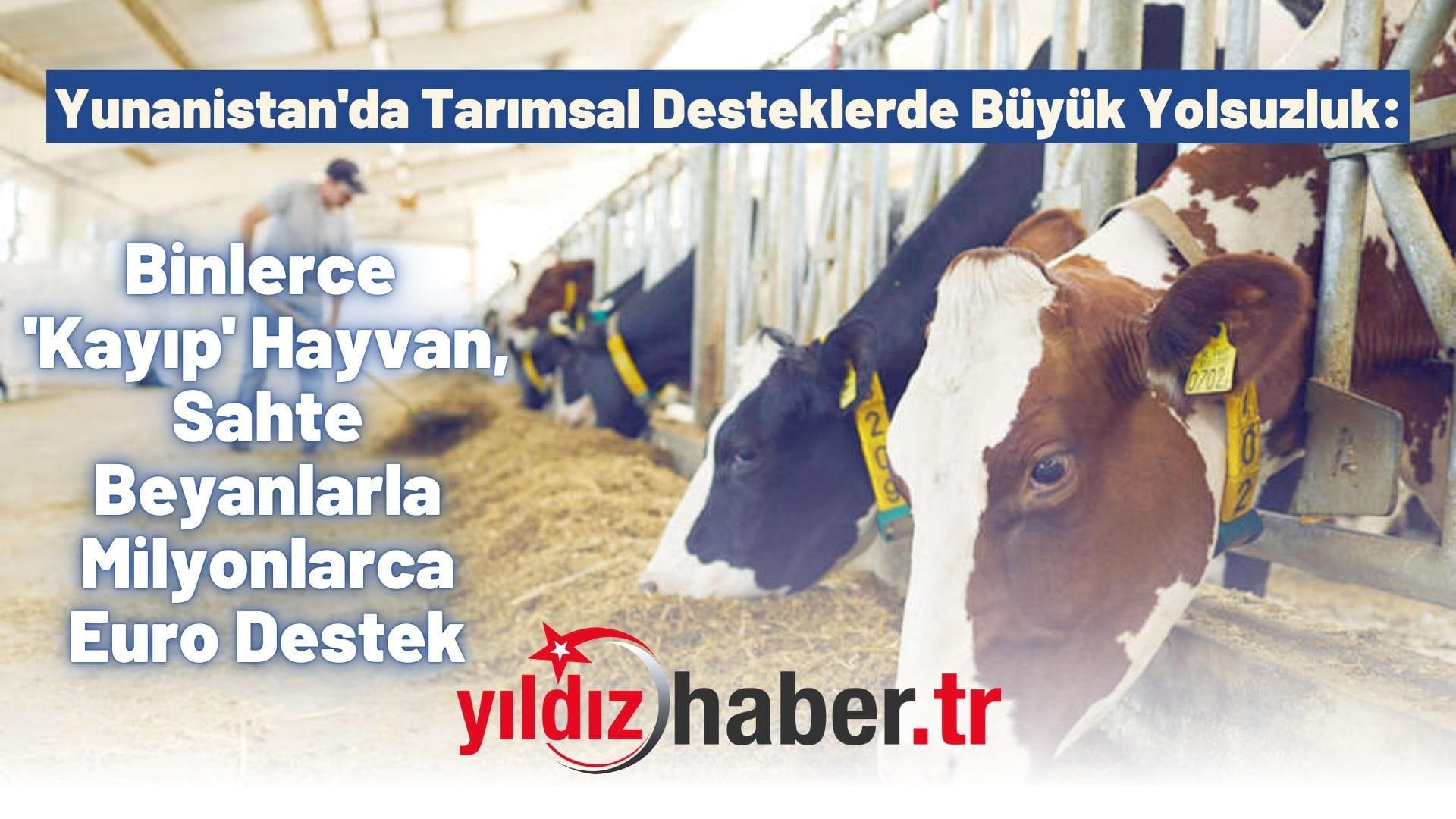 Yunanistan'da Tarımsal Desteklerde Büyük Yolsuzluk