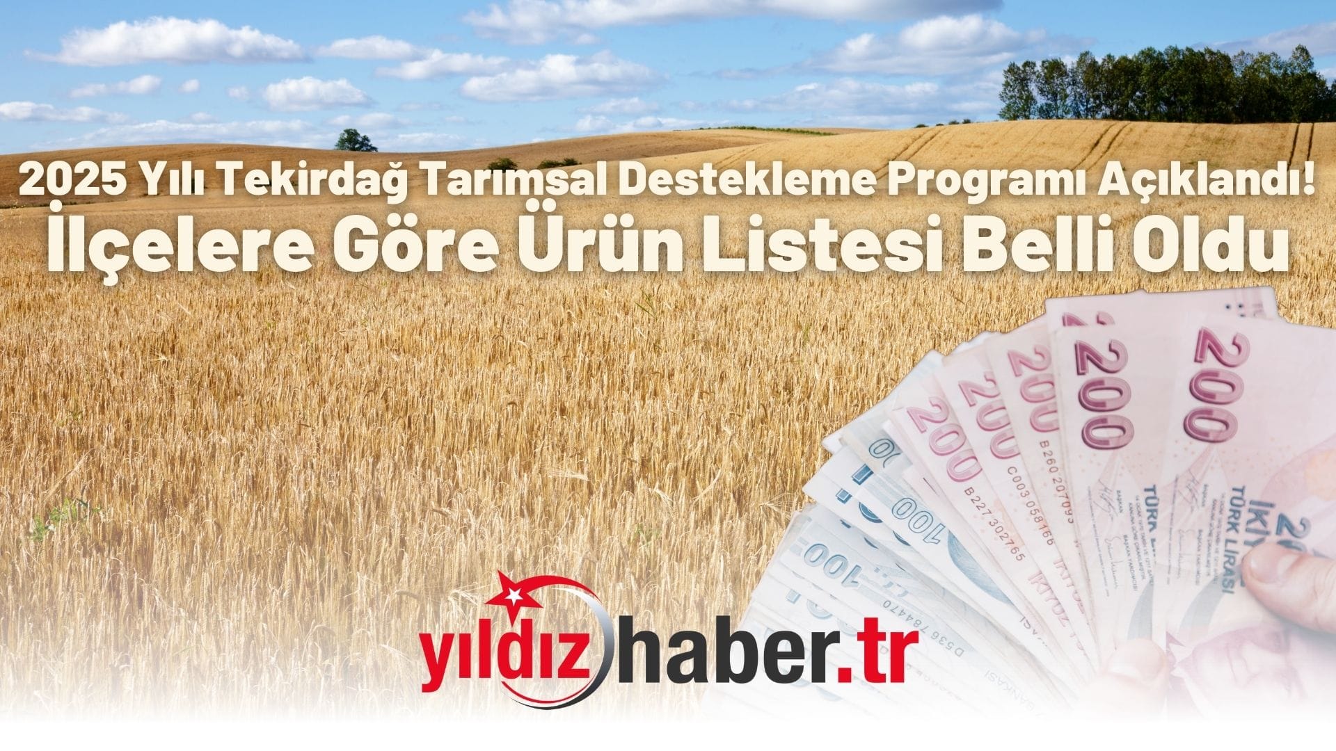 2025 Yılı Tekirdağ Tarımsal Destekleme Programı Açıklandı! İlçelere Göre Ürün Listesi Belli Oldu