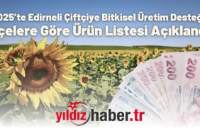 2025’te Edirneli Çiftçiye Bitkisel Üretim Desteği! İlçelere Göre Ürün Listesi Açıklandı