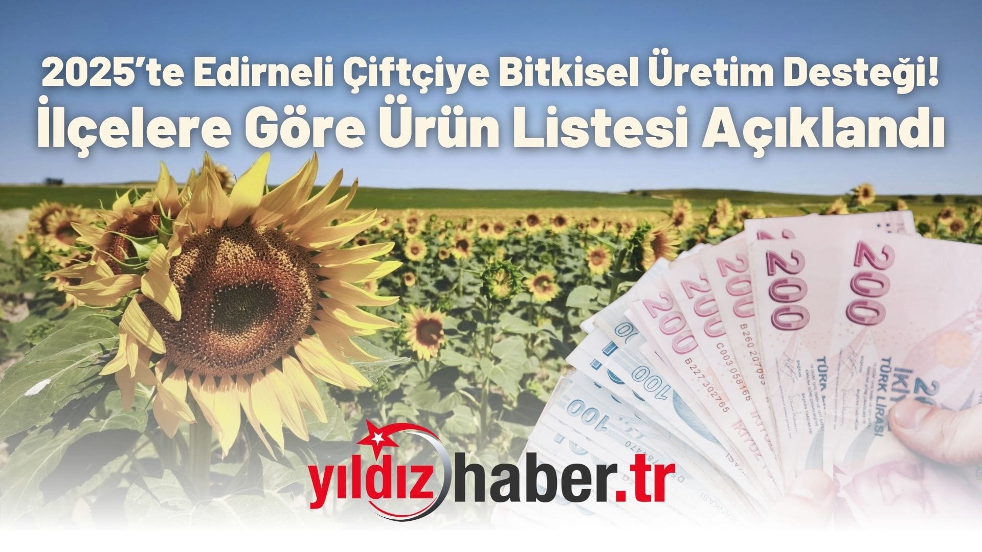 2025’te Edirneli Çiftçiye Bitkisel Üretim Desteği! İlçelere Göre Ürün Listesi Açıklandı