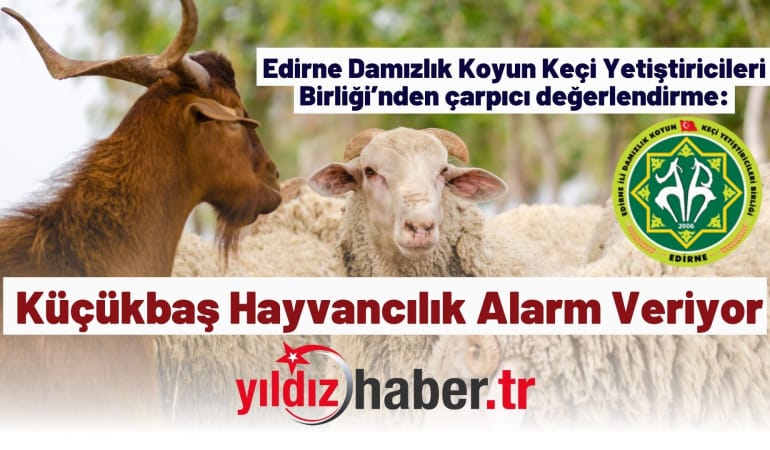 Edirne Damızlık Koyun Keçi Yetiştiricileri Birliği’nden çarpıcı değerlendirme: Küçükbaş Hayvancılık Alarm Veriyor