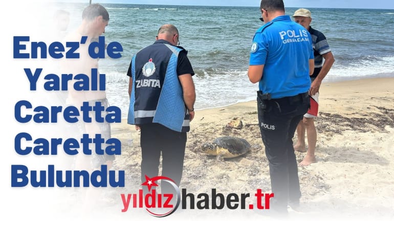 Enez’de Yaralı Caretta Caretta Bulundu