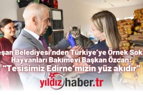 Keşan Belediyesi’nden Türkiye’ye Örnek Sokak Hayvanları Bakımevi