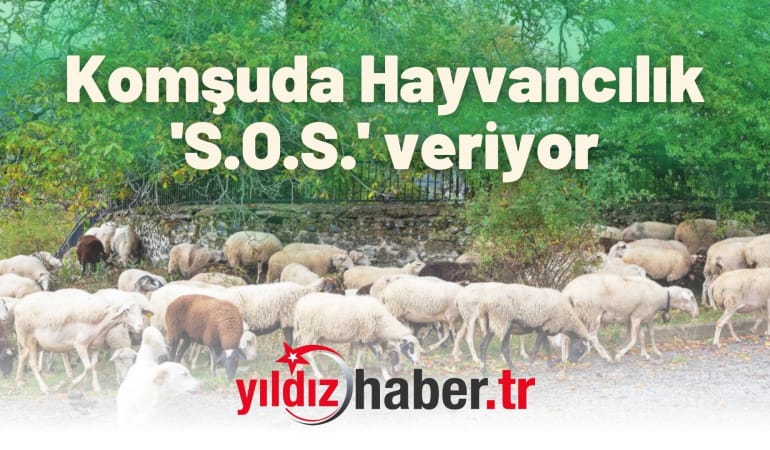 Komşuda Hayvancılık ‘S.O.S.’ veriyor