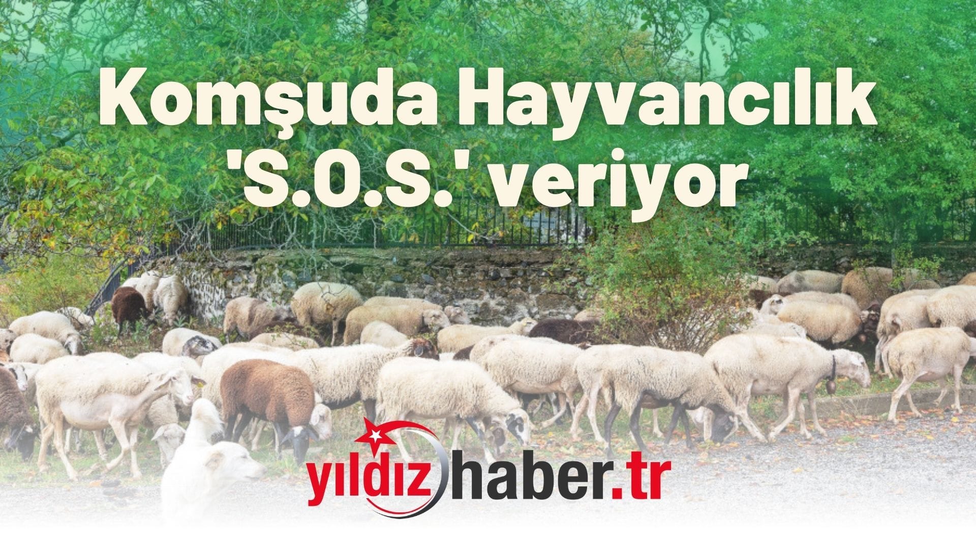 Komşuda Hayvancılık 'S.O.S.' veriyor