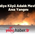 Mecidiye Köyü Adalık Mevkiinde Anız Yangını
