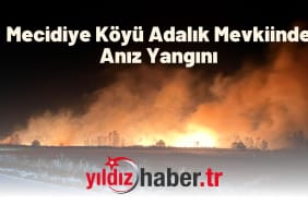 Mecidiye Köyü Adalık Mevkiinde Anız Yangını
