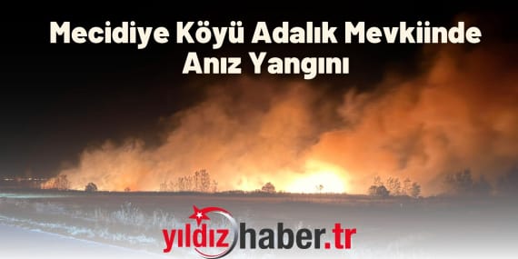 Mecidiye Köyü Adalık Mevkiinde Anız Yangını