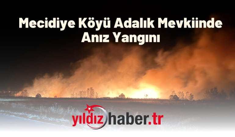 Mecidiye Köyü Adalık Mevkiinde Anız Yangını