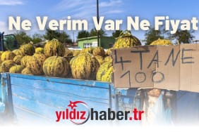 Ne Verim Var Ne Fiyat