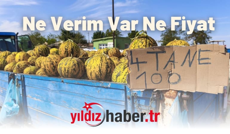 İpsala’da Kavun Üreticisinin Yüzü Gülmüyor: Ne Verim Var Ne Fiyat