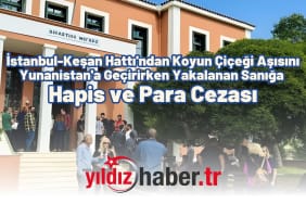 İstanbul-Keşan Hattı'ndan Koyun Çiçeği Aşısını Yunanistan'a Geçirirken Yakalanan Sanığa Hapis ve Para Cezası
