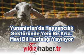 Yunanistan'da Hayvancılık Sektöründe Yeni Bir Kriz Mavi Dil Hastalığı Yayılıyor