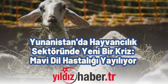 Yunanistan'da Hayvancılık Sektöründe Yeni Bir Kriz Mavi Dil Hastalığı Yayılıyor