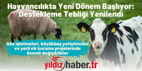Hayvancılıkta Yeni Dönem Başlıyor Destekleme Tebliği Yenilendi