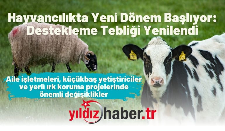 Hayvancılıkta Yeni Dönem Başlıyor: Destekleme Tebliği Yenilendi