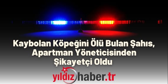 Kaybolan Köpeğini Ölü Bulan Şahıs, Apartman Yöneticisinden Şikayetçi Oldu