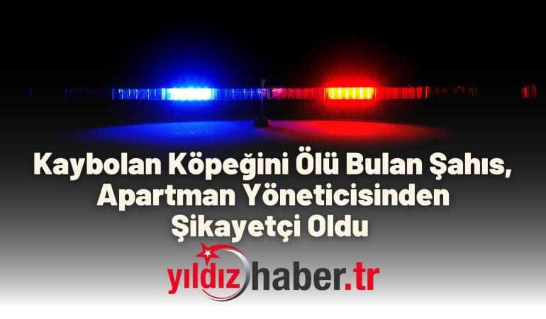 Kaybolan Köpeğini Ölü Bulan Şahıs, Apartman Yöneticisinden Şikayetçi Oldu