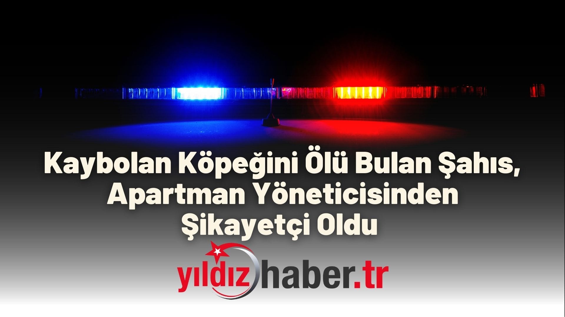 Kaybolan Köpeğini Ölü Bulan Şahıs, Apartman Yöneticisinden Şikayetçi Oldu