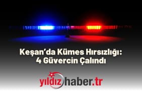 Keşan’da Kümes Hırsızlığı 4 Güvercin Çalındı