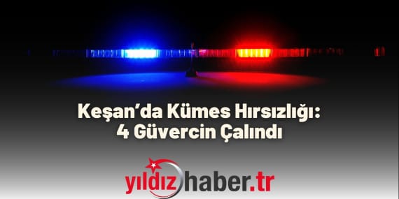 Keşan’da Kümes Hırsızlığı 4 Güvercin Çalındı