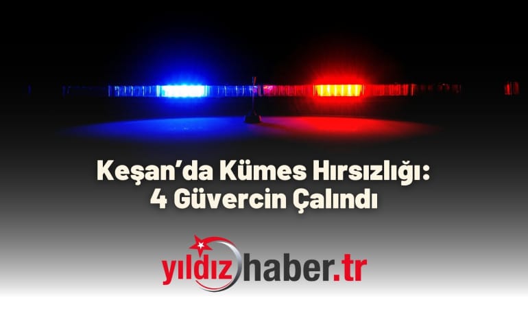 Keşan’da Kümes Hırsızlığı: 4 Güvercin Çalındı