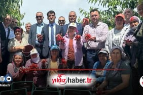 Enez’in Gururu Çeribaşı Kirazı Coğrafi İşaret Tescili Aldı!