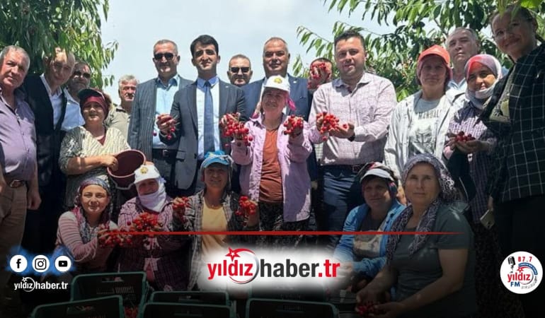 Enez’in Gururu: Çeribaşı Kirazı Coğrafi İşaret Tescili Aldı!