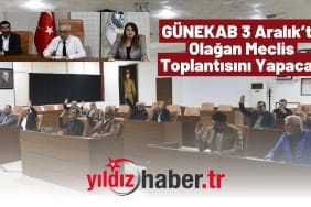 GÜNEKAB 3 Aralık’ta Olağan Meclis Toplantısını Yapacak