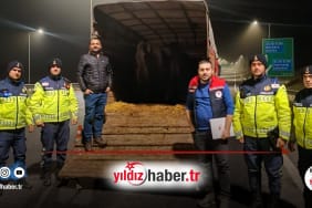 Malkara'da Belgesiz Hayvan Sevkine Ceza!