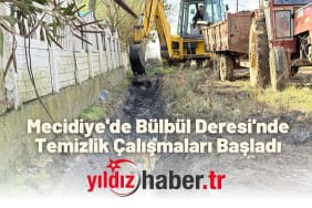Mecidiye'de Bülbül Deresi'nde Temizlik Çalışmaları Başladı