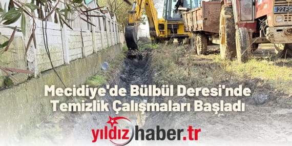 Mecidiye'de Bülbül Deresi'nde Temizlik Çalışmaları Başladı