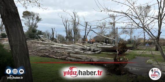 Dedeağaç'ta Piyasa Canlanmadı Turizm Artışına Rağmen Alışveriş Harcamaları Düşük Kaldı (1)