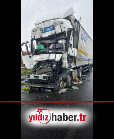 Gümrük Yoğunluğu Tepkilere Neden Oluyor Türk TIR Şoförü Hayatını Kaybetti