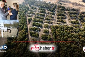 Keşan Belediyesi’nden 2025’te Sokak Hayvanları İçin Örnek Hizmet