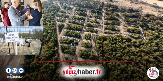 Keşan Belediyesi’nden 2025’te Sokak Hayvanları İçin Örnek Hizmet