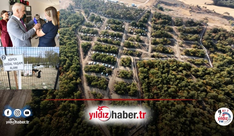 Keşan Belediyesi’nden 2025’te Sokak Hayvanları İçin Örnek Hizmet