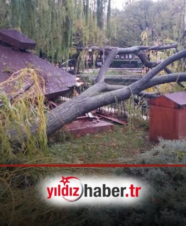 Trakya’da Kuvvetli Fırtına Uyarısı Ağaç ve Direk Devrilmesine Karşı Dikkat!