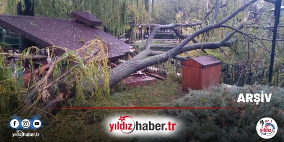 Trakya’da Kuvvetli Fırtına Uyarısı Ağaç ve Direk Devrilmesine Karşı Dikkat!